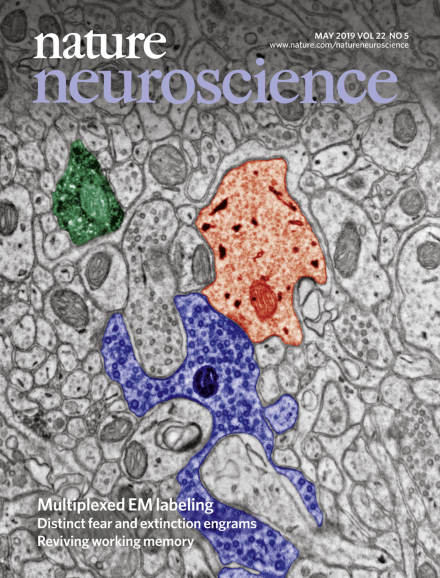 Control of tumor-associated macrophages and T cells in glioblastoma via AHR and CD39.