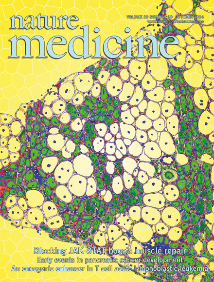 Regulation of astrocyte activation by glycolipids drives chronic CNS inflammation.
