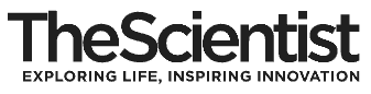 Astrocytes Feed Glioblastoma, Promoting Tumor Growth: Mouse Study